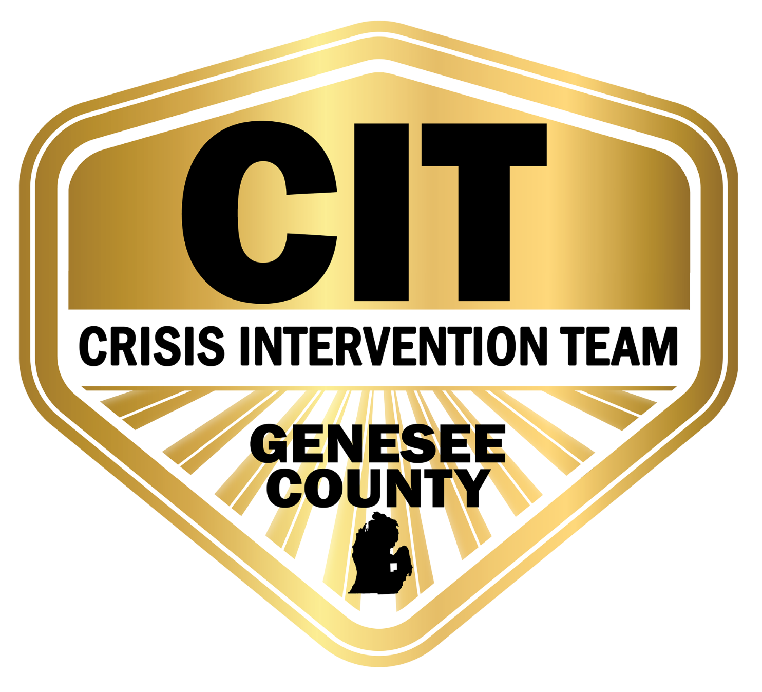 CIT Form - Genesee Health System